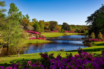 Meilleurs endroits pour se balader : les parcs.